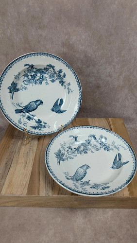 Lot assiettes creuses - assiettes,