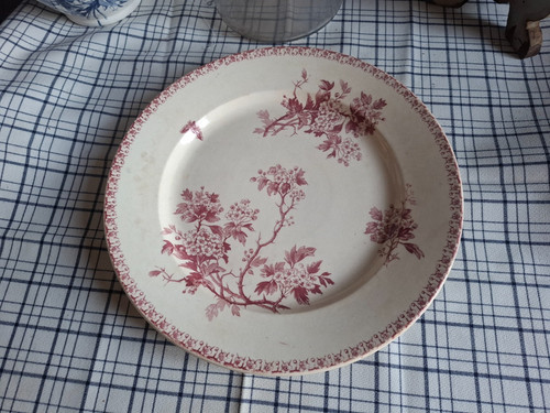 Plat rond terre de fer - plat,