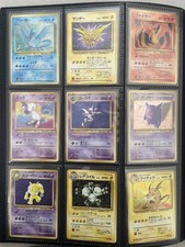 Complete Japanese Fossil Set