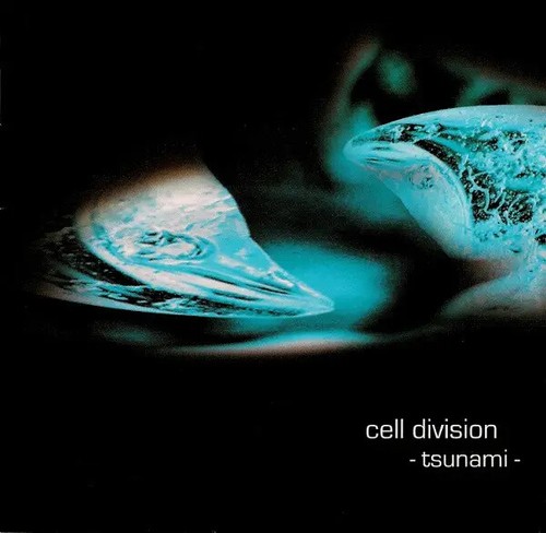 Cell division tsunami d m - cell,