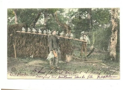 Anienne carte postale landes - carte,