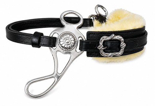 Baroque hackamore bit - hackamore,