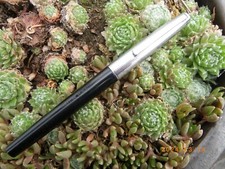 _ TRES ANCIEN STYLO PLUME