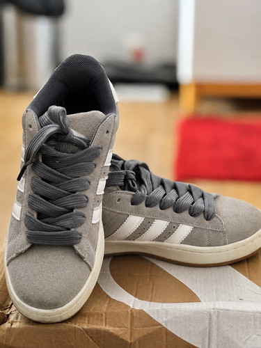 Adidas campus gris bascket - gris,