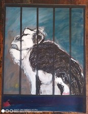 Pierre-Vincent Innocente