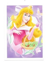 Vignette Disney - Princesse