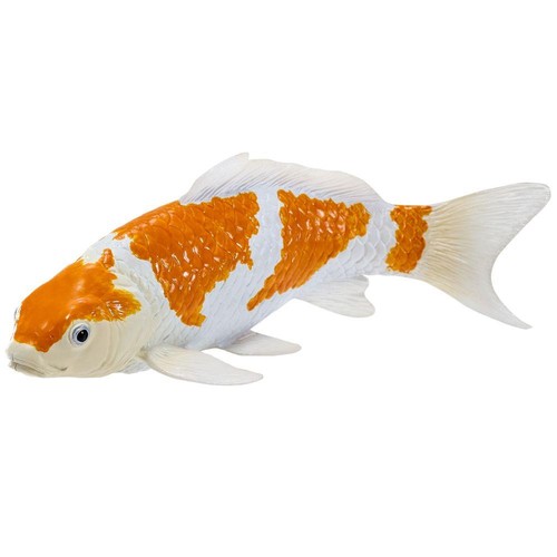 Koi carpe ochiba - carpe, shigure