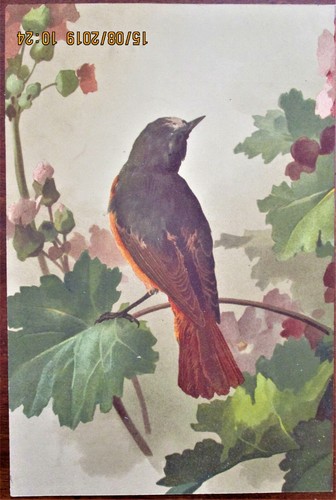 Gravure ancienne couleur