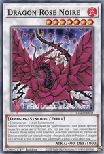 Yu-Gi-Oh! Dragon Rose Noire 