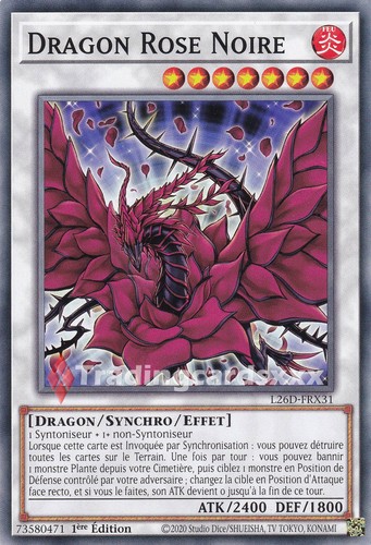 Dragon rose noire - noire,