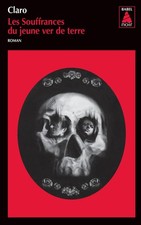 Les Souffrances du jeune ver