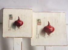 Étiquettes Légumes - Etiquettes Signalétiques - Décoration Jardin Pot Plante