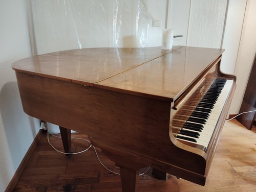 Piano quart queue - piano, pleyel