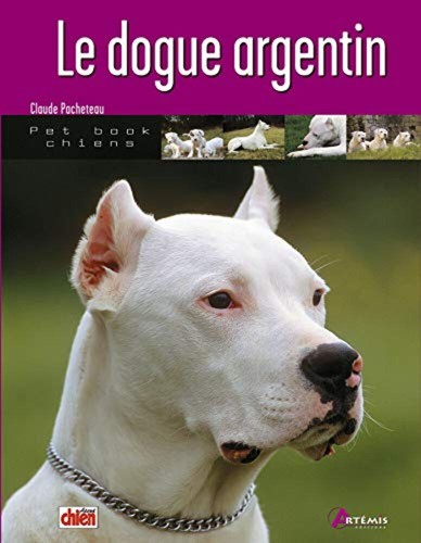 Dogue argentin pacheteau - dogue,