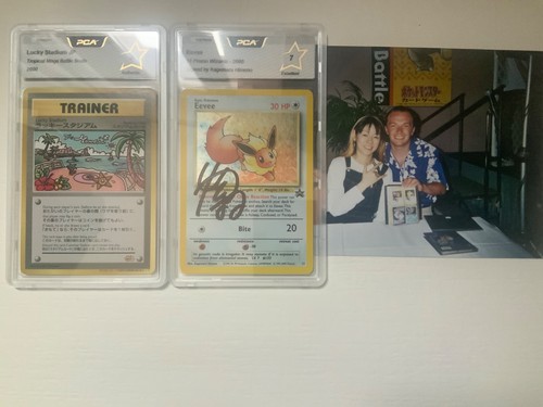 Pokémon tropical mega battle - mega,