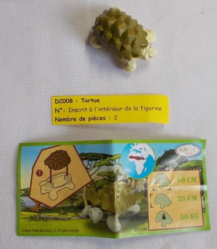 Kinder animaux tortue - -, dc
