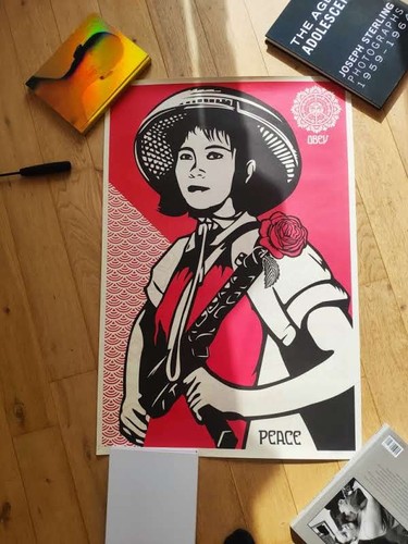Shepard fairey - shepard,