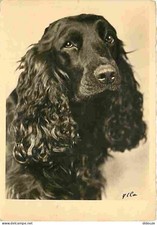 Carte Postale - Animaux -