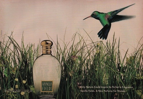 Publicité papier parfum - publicité,