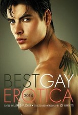 Best Gay Erotica 2014 by 