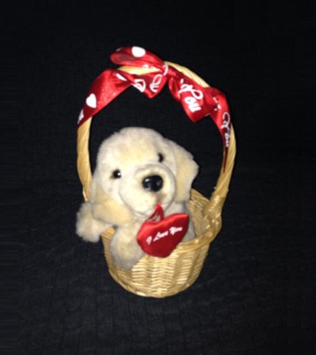Peluche doudou chien labrador - doudou,