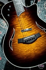 Taylor T5z Pro 2014