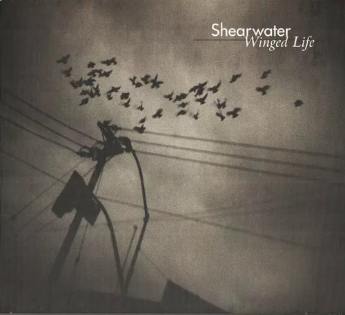 Winged life shearwater - life,,