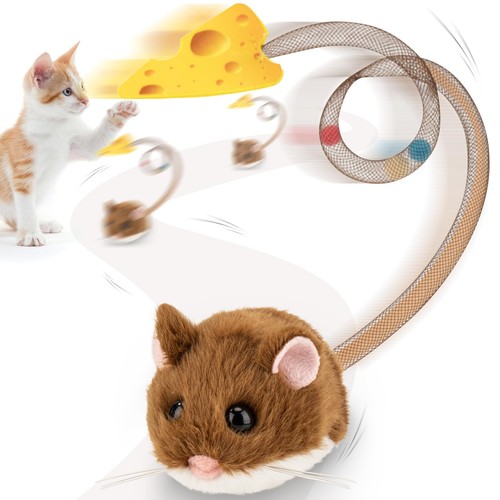 Jouet interactif pour chat - jouet,