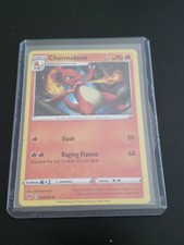 CHARMELEON 2020 STAGE 1