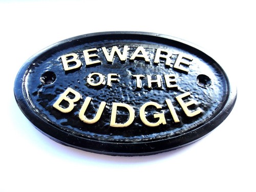 Beware the perruche maison - beware, of