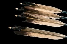 Flèches bambou kyudo archerie tir a l'arc