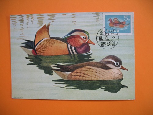 Card maximum korea - -, carte