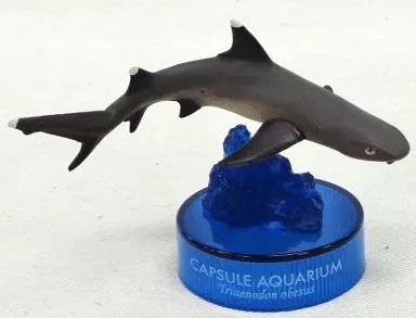 Mini figurine biologique - , 3d