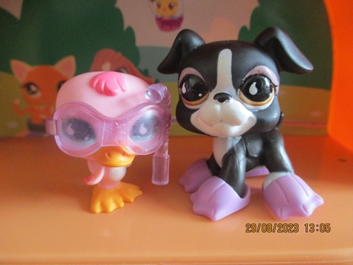 Petshop duo canard 825 - duo, +