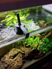 Support Lollies Pour Crevettes D'aquarium (Envoi Vinted Seulement Pseudo Aqua-67