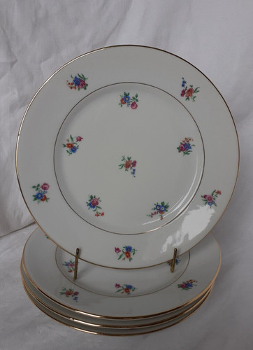 Assiettes plates en - assiettes,