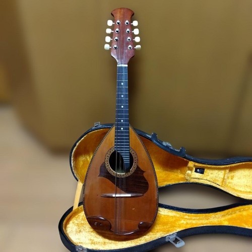 Suzuki 215 violon mandoline - violon,