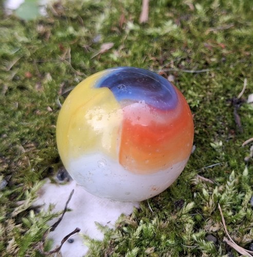 Rare early translucent - 🦜rare,