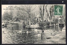CPA Lyon, Parc de la Tête d´Or, Un Coin du Lac, La Buvette 1908 