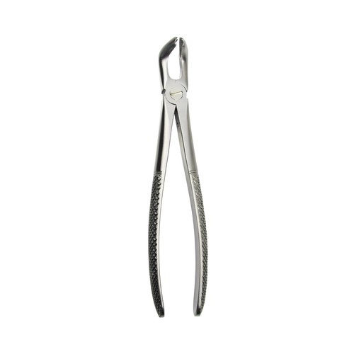 Dentaire chirurgie dents - dentaire,