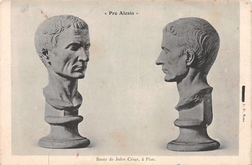 Pro alesia buste jules - buste,