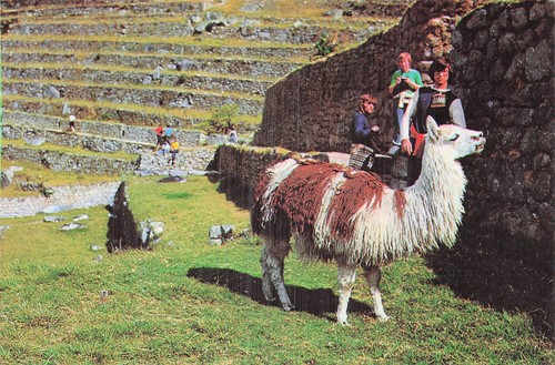 Perou nazca lignes - perou,