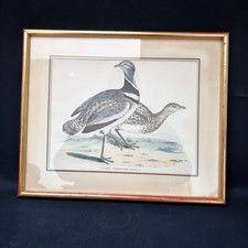 Cadre Ancien Gravure