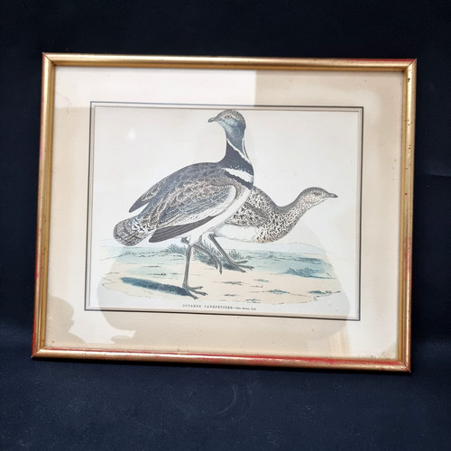 Cadre ancien gravure - cadre,