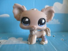 PETSHOP CHIEN CHIHUAHUA