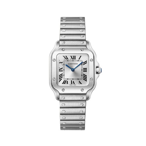 Cartier santos - de,