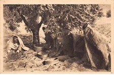 TUNISIE - SAN26989 - Ramassage