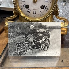 cpa attelage voiture a chiens la chanteuse bretonne metier