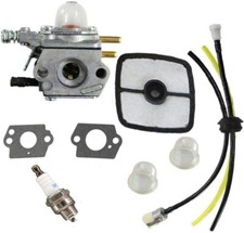 Carburateur pour Zama