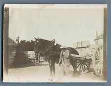 France, Cheval attelé à une